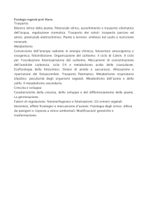 Fisiologia vegetale - Macroarea di Scienze