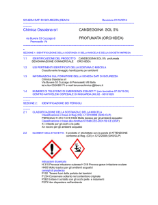 Chimica Ossolana srl CANDEGGINA SOL 5% PROFUMATA