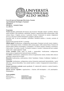 Programma Anatomia II per Fisioterapia II semestre
