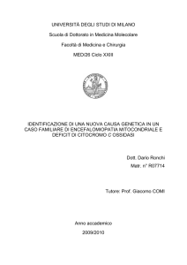 UNIVERSITÀ DEGLI STUDI DI MILANO Scuola di Dottorato