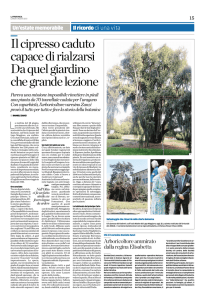 Ilcipressocaduto capacedirialzarsi Daquelgiardino - Fito