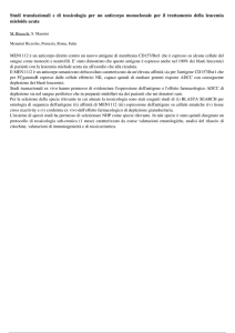 Studi translazionali e di tossicologia per un anticorpo monoclonale
