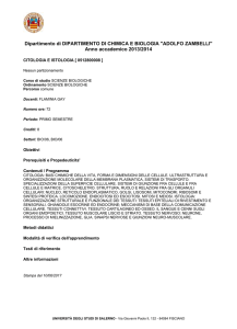 Dipartimento di DIPARTIMENTO DI CHIMICA E BIOLOGIA "ADOLFO