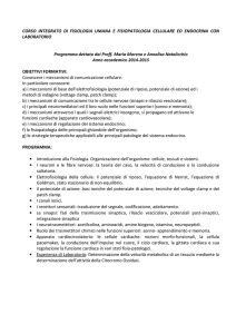 fisiologia umana e fisiopatologia cellulare ed endocrina con