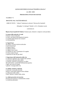 AS 2013 –2014 PROGRAMMA SVOLTO DI