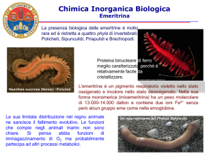 Chimica Inorganica Biologica