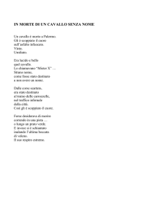 in morte di un cavallo senza nome