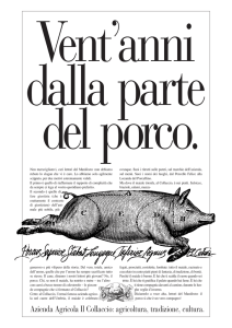 20anni dalla parte del porco (Page 1)
