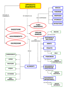 DIGESTIONE_E_ALIMENTAZIONE