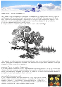 Se si perde il patrimonio genetico naturale di caratteristiche di ogni