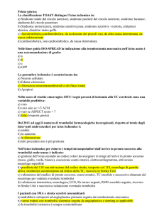 Primo giorno: La classificazione TOAST distingue l`ictus ischemico