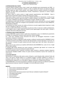 le tecniche agronomiche - 3