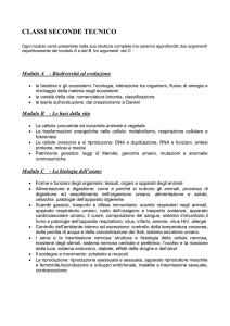 CONTENUTI CLASSI 2 TECNICO