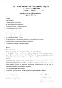 Classe ll liceo NO (v ovv+sto) - Istituto Salesiano Don Bosco