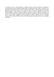 La corrente di vita, il filo dell`anima, il sutratma, (il filo che tesse