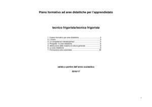 Piano formativo ad aree didattiche per l`apprendistato tecnico