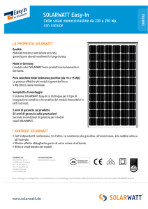 SOLARWATT Easy-In