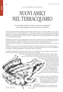 copertina novembre