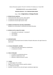 Classe : TERZA A (Agricoltura e Sviluppo Rurale)