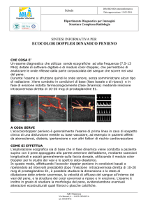 ecocolor doppler dinamico penieno