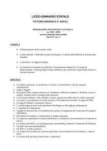 liceo-ginnasio statale “vittorio emanuele ii” napoli