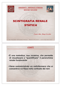 scintigrafia renale statica
