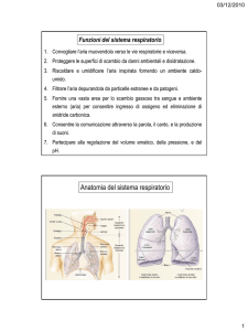 4_Apparato respiratorio