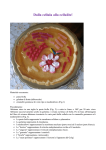 Dalla cellula alla cellulite - "Ilaria Alpi"
