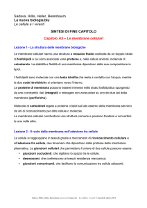 Capitolo A5 - Le membrane cellulari