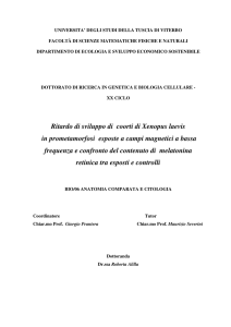 Ritardo di sviluppo di coorti di Xenopus laevis in