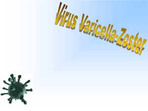 L`efficacia della vaccinazione