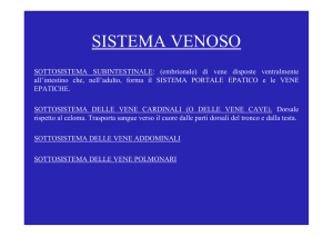 Sistema venoso I parte