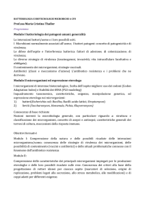 Programma - Macroarea di Scienze