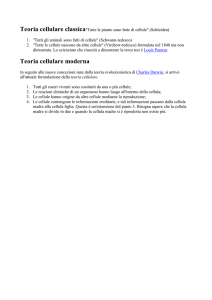 Teoria cellulare classica