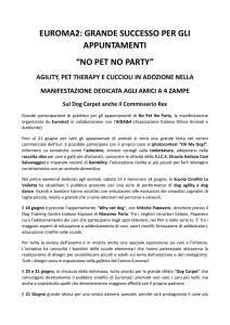 Comunicato Stampa 2