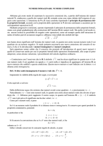 NUMERI IMMAGINARI
