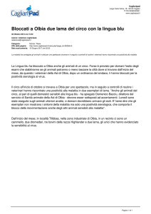 Cagliari Pad - Bloccati a Olbia due lama del circo con la lingua blu