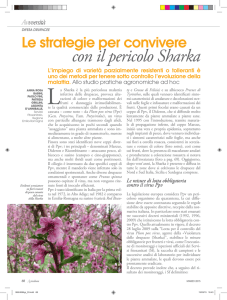Le strategie per convivere con il pericolo Sharka