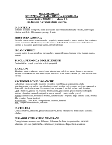 PROGRAMMA DI SCIENZE NATURALI, CHIMICA