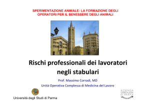 Massimo Corradi