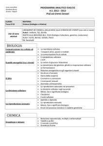 Schema relazione finale terza B SPP
