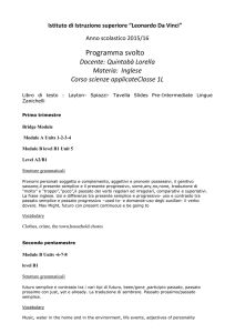Programma svolto