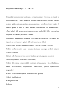 Programma (prof. Rampello)