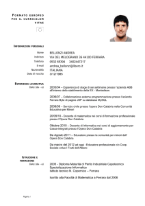 curriculum vitae di Andrea Bellonzi