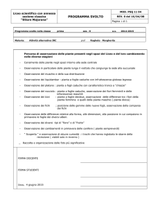 Programma svolto nella classe