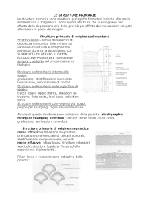 2 - LE STRUTTURE PRIMARIE
