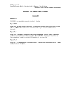 Capitolo 12 - Ateneonline