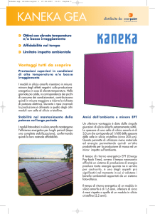 kaneka gea - enersystems