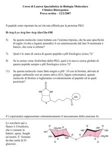 Nessun titolo diapositiva - Classe delle Lauree in Scienze Biologiche