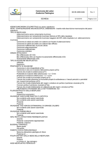 Scheda Anatomia patologica